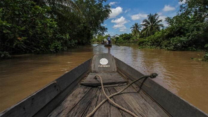 The Mekong River Delta