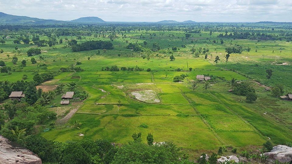 peung tanon rice fields