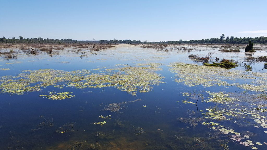 Jayatataka Baray, near Preah Khan Temple