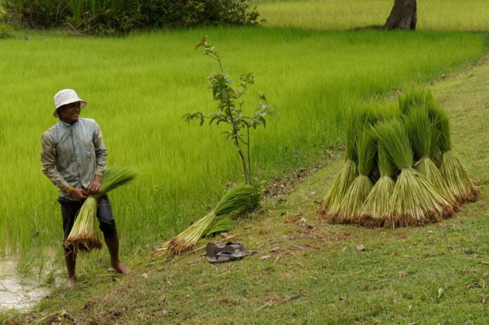 Siem Reap Countryside