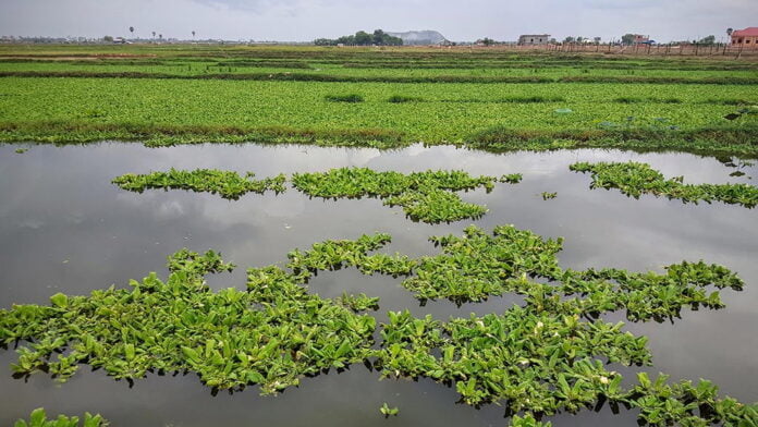 Siem Reap province