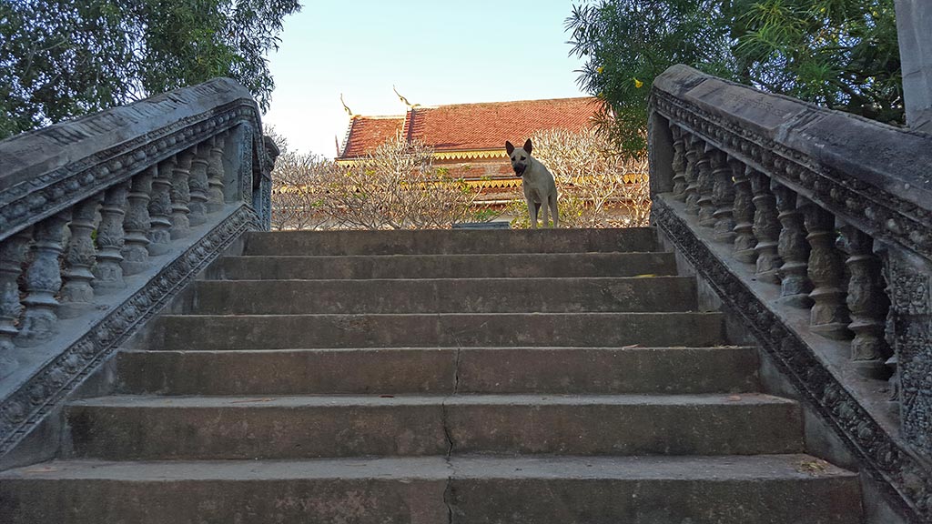 Stairs leading to Phnom Krom's hilltop