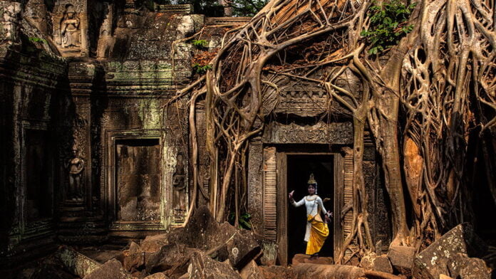 Ta Prohm temple ruins